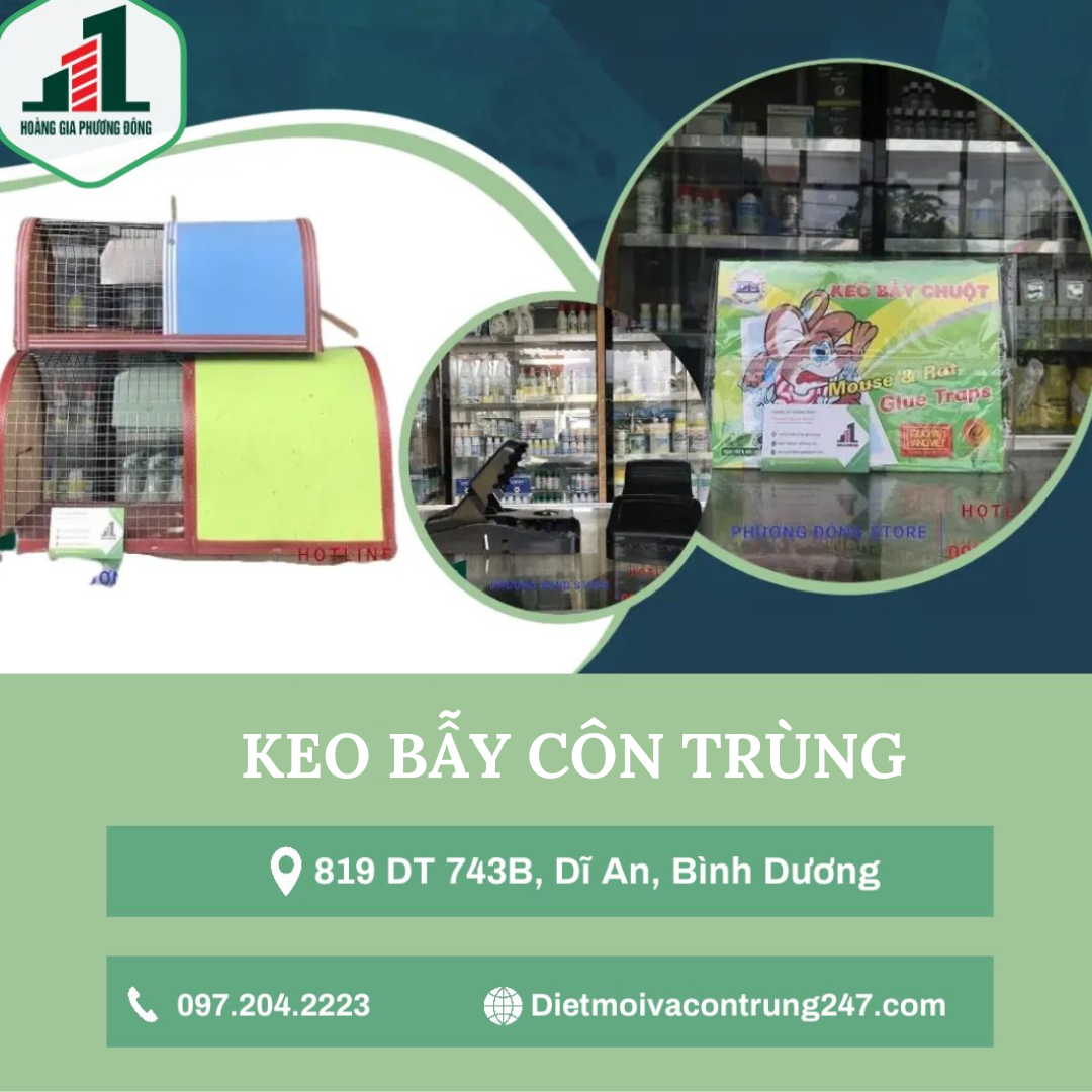 Keo bẫy chuột côn trùng